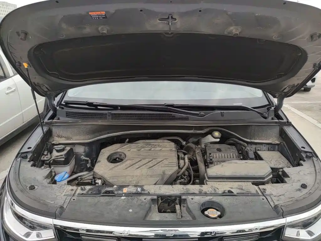 Hyundai Custo — миниатюра 20