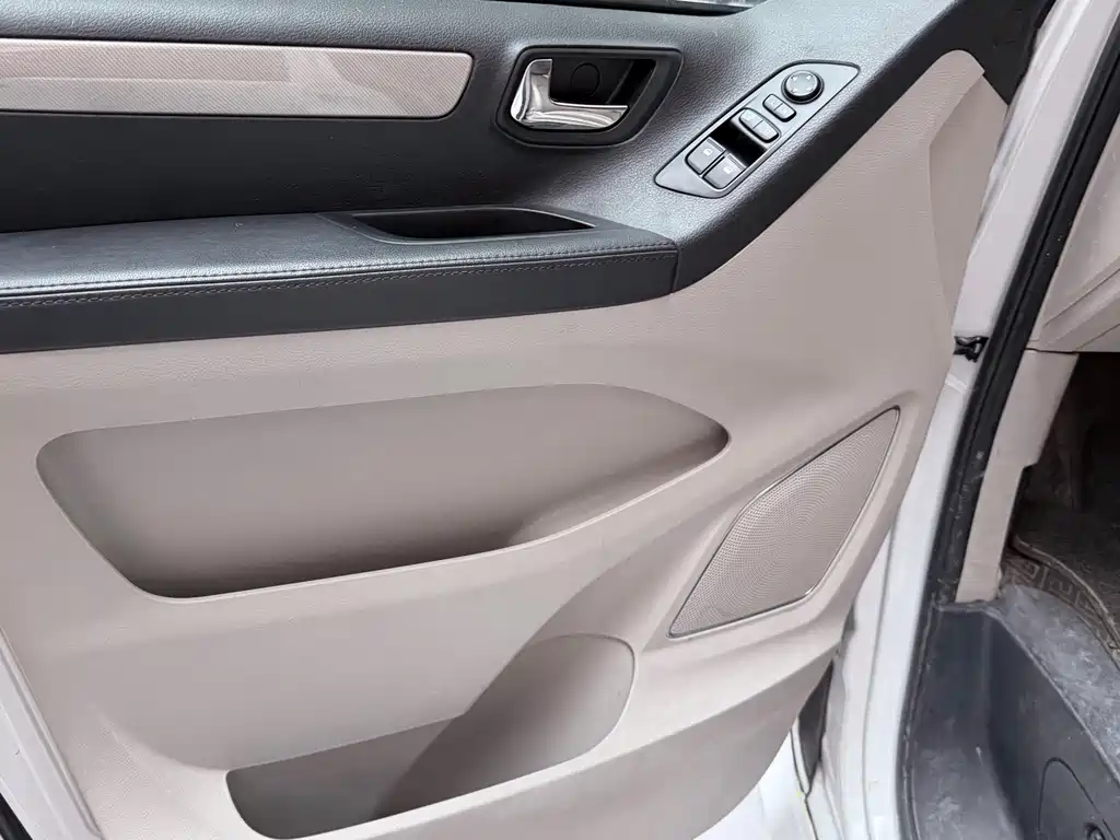 SAIC MAXUS CHASE G10