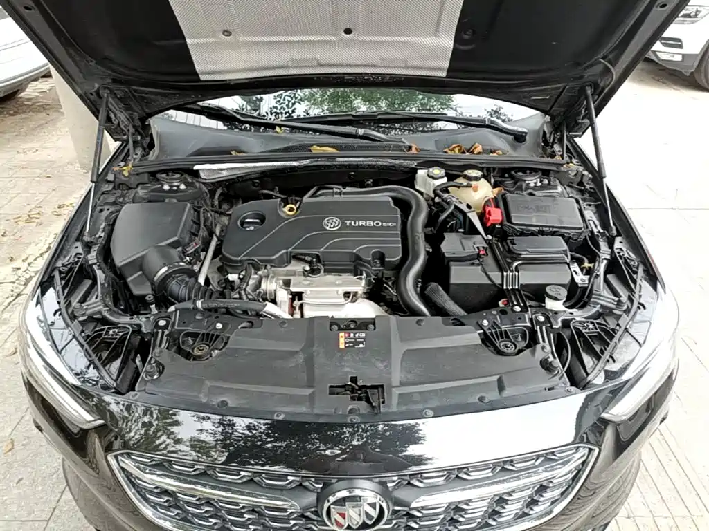 Buick Regal — миниатюра 20