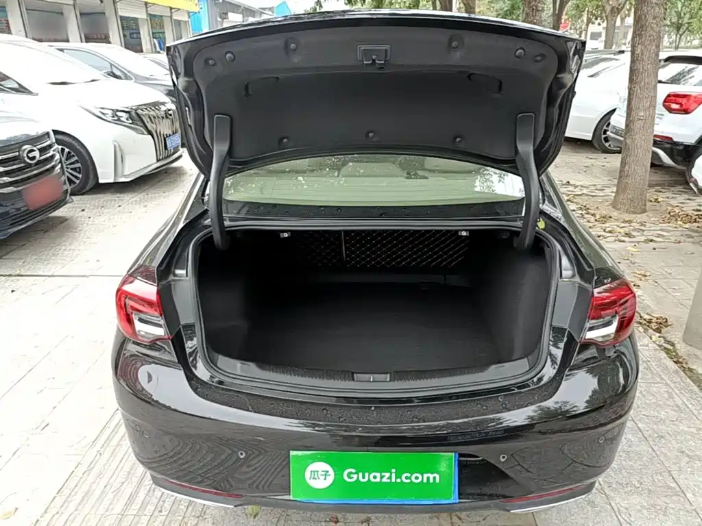 Buick Regal — миниатюра 19