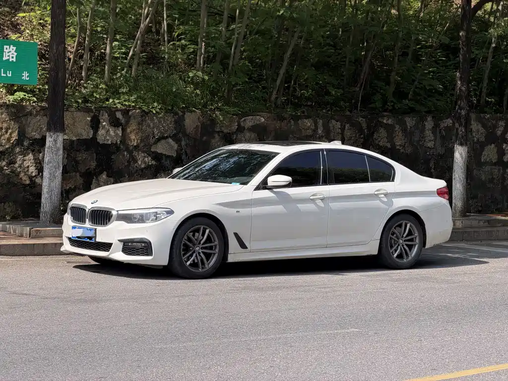 BMW 5 Series (Import) 2019