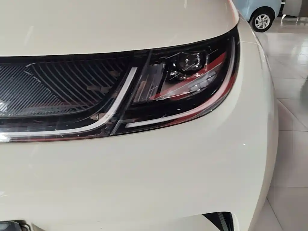 BYD Dolphin — миниатюра 24