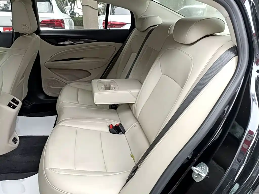 Buick Regal — миниатюра 17