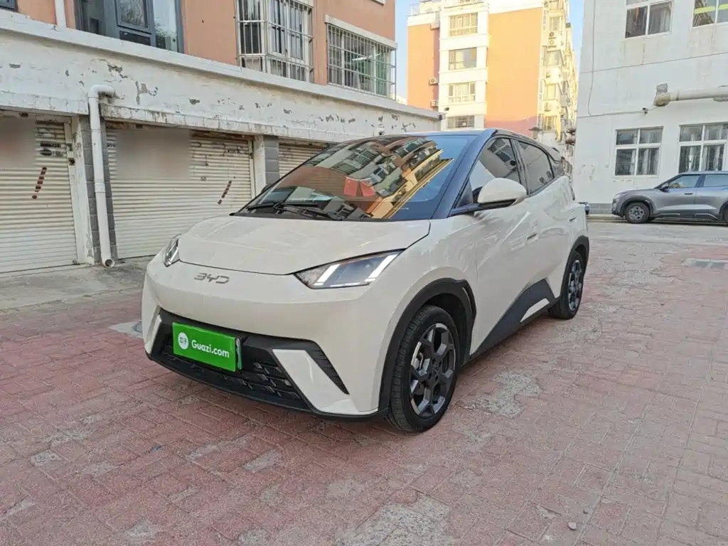BYD Seagull 2024 305km Freedom