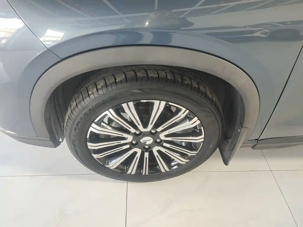 Oshan Oushang X5 — миниатюра 23
