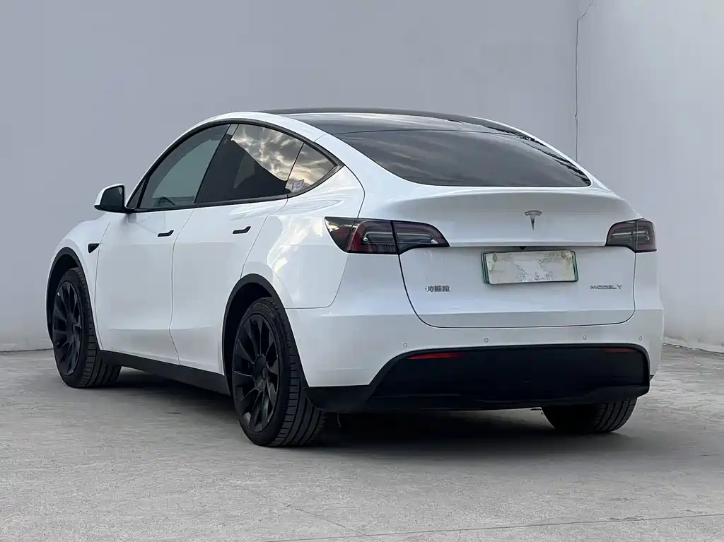 Tesla Model Y — миниатюра 5