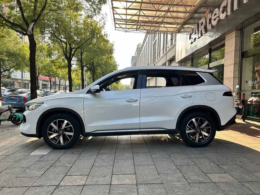 BYD Pro New Energy — миниатюра 12