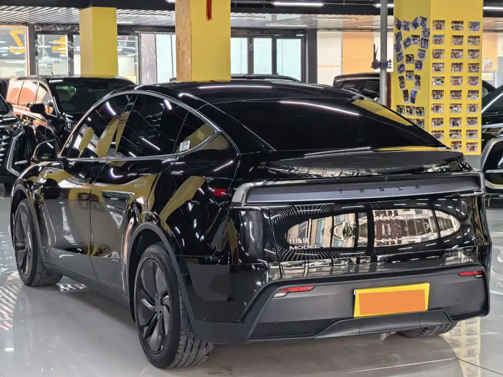 Tesla Model Y — миниатюра 18