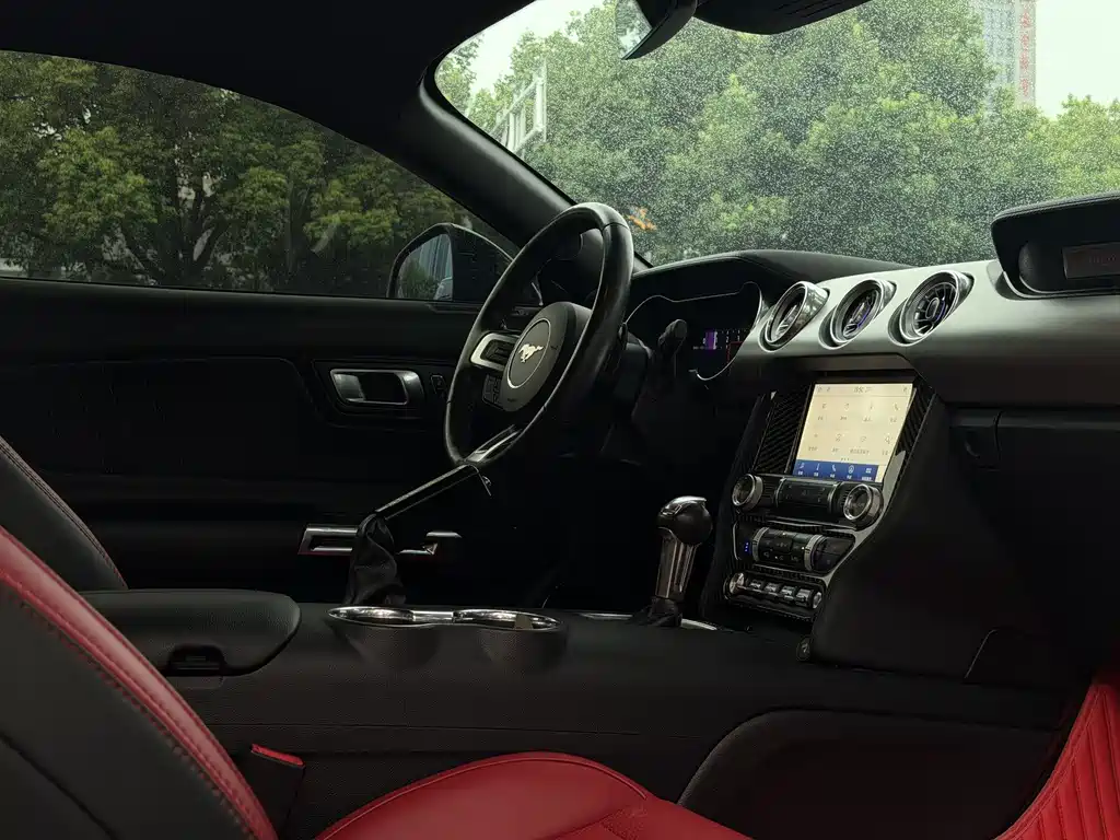 Ford Mustang — миниатюра 13