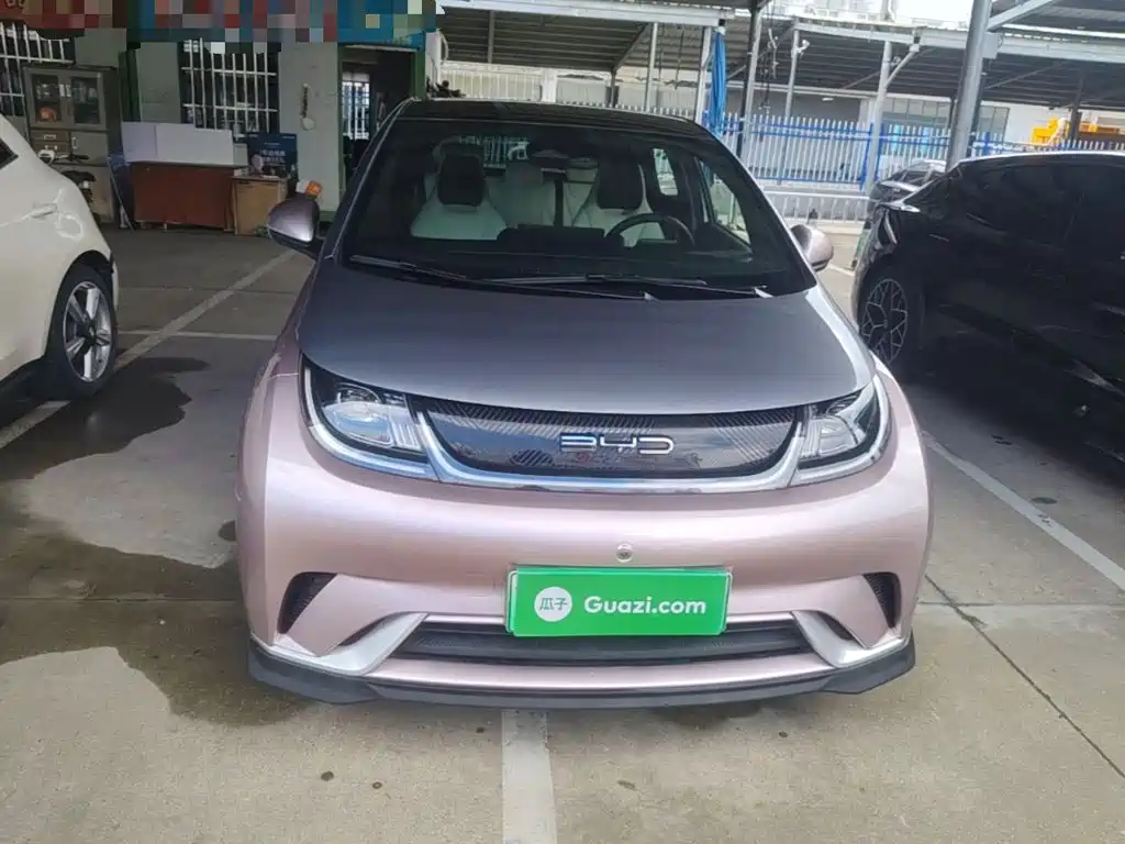 BYD Dolphin — миниатюра 3