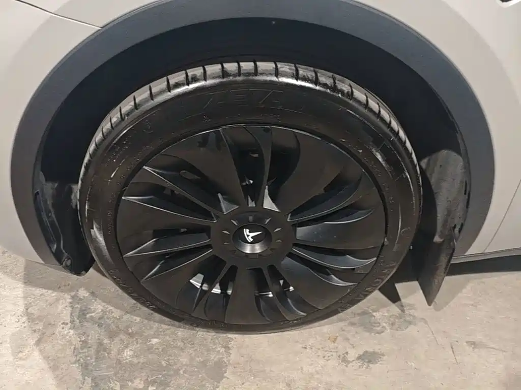 Tesla Model Y — миниатюра 23