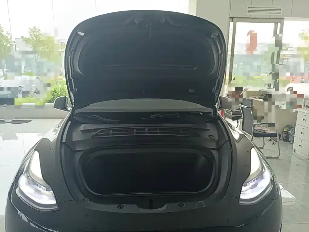 Tesla Model Y — миниатюра 20