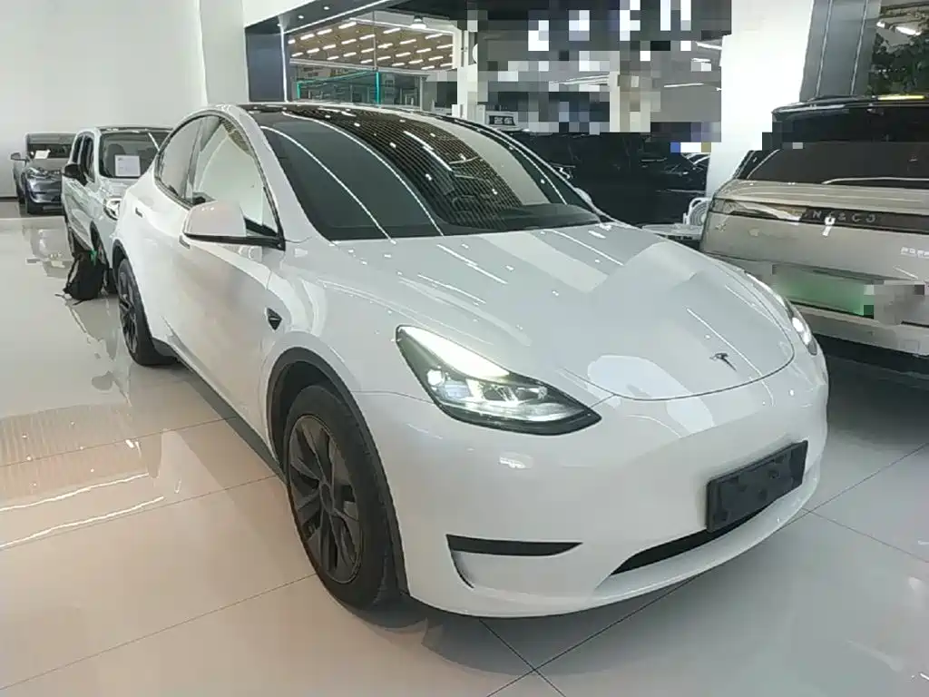 Tesla Model Y — миниатюра 4