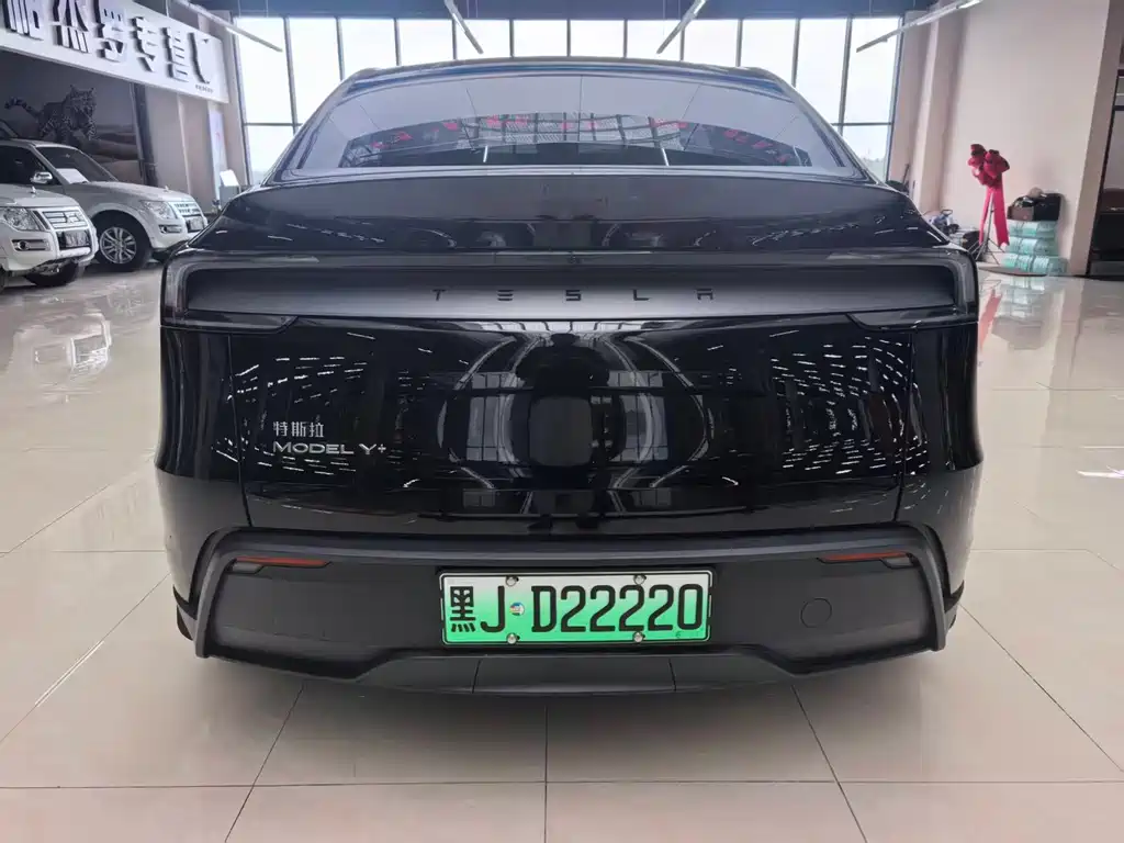Tesla Model Y — миниатюра 5