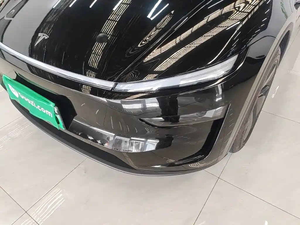 Tesla Model Y — миниатюра 24