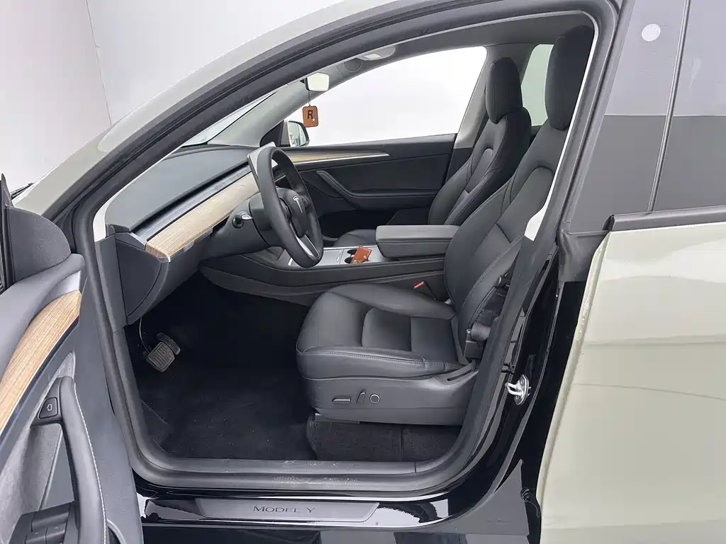 Tesla Model Y — миниатюра 14
