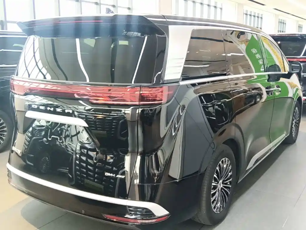 Denza Denza D9 — миниатюра 7