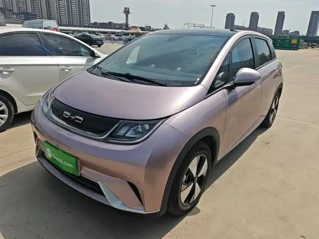 2023 BYD Dolphin