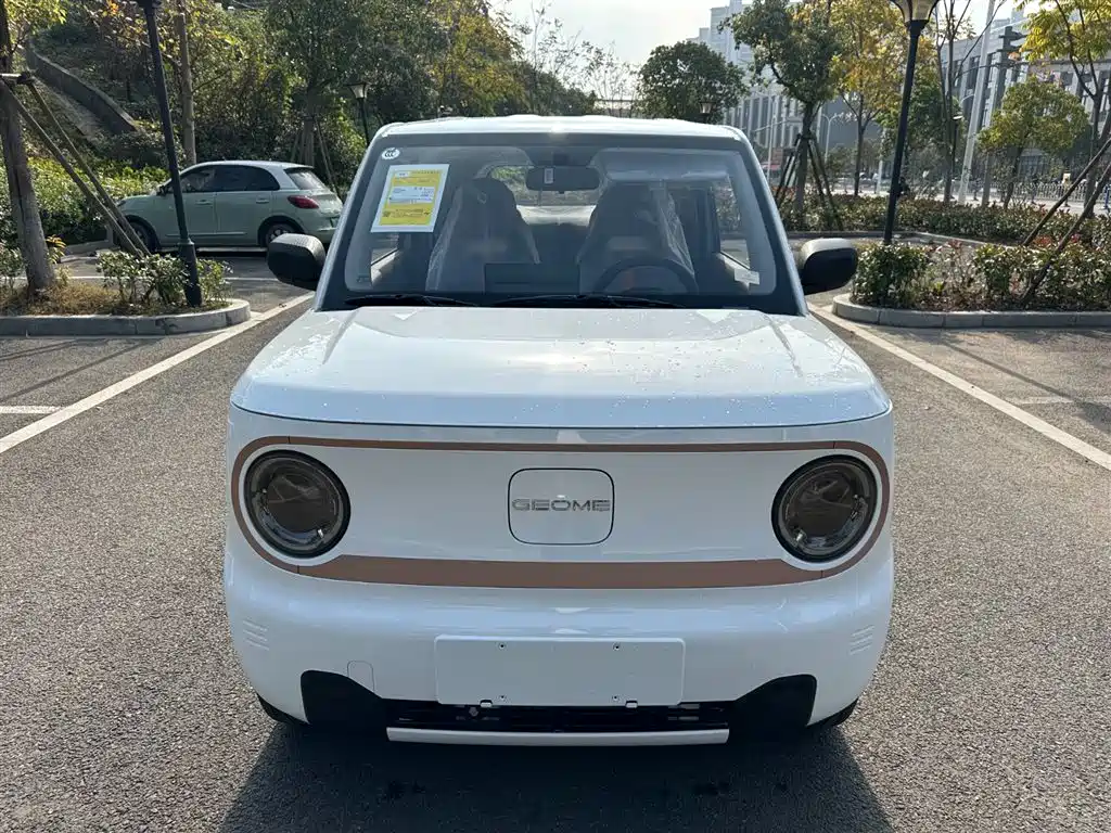 GEELY GALAXY PANDA