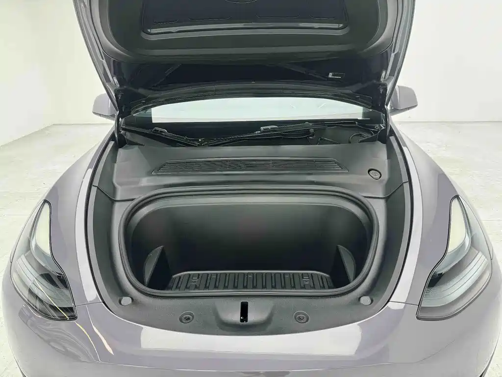 Tesla Model Y — миниатюра 19