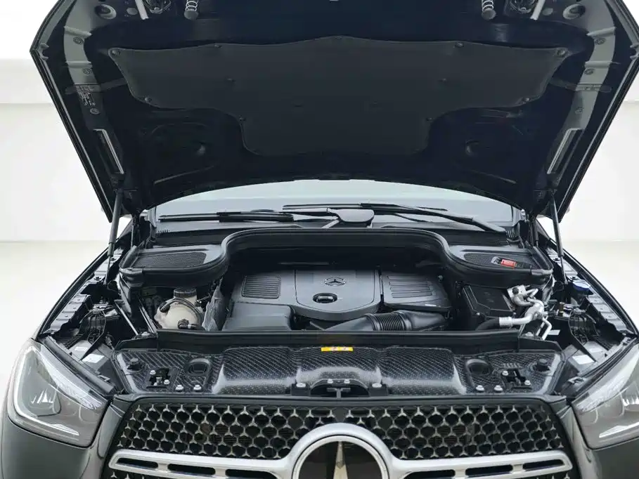 Mercedes-Benz 奔驰GLE(进口) — миниатюра 6