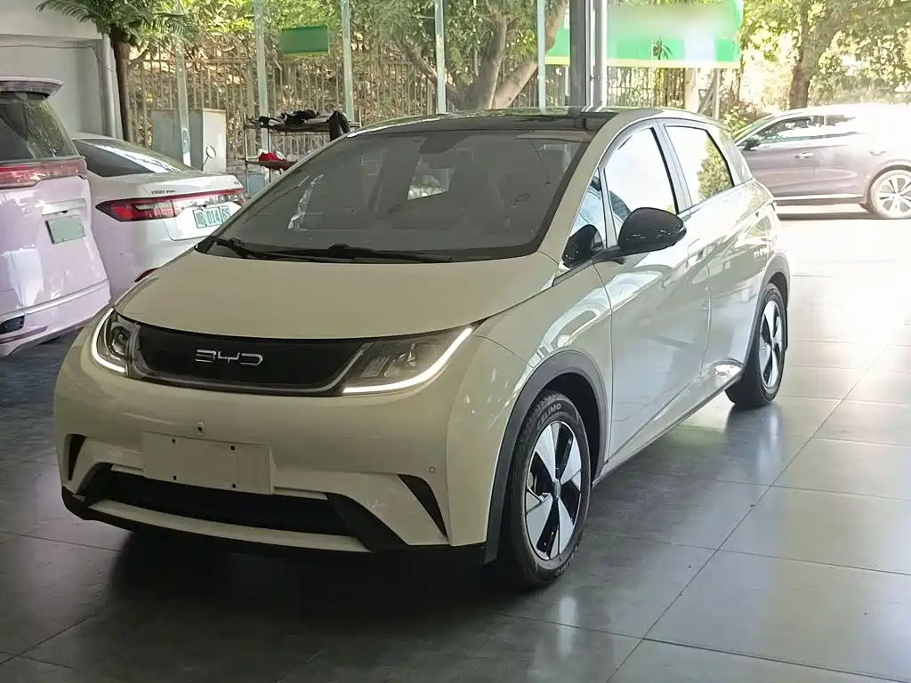 BYD Dolphin — миниатюра 2
