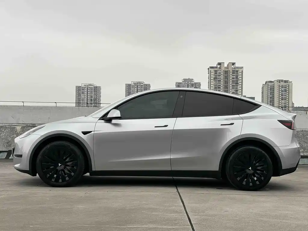 Tesla Model Y — миниатюра 3