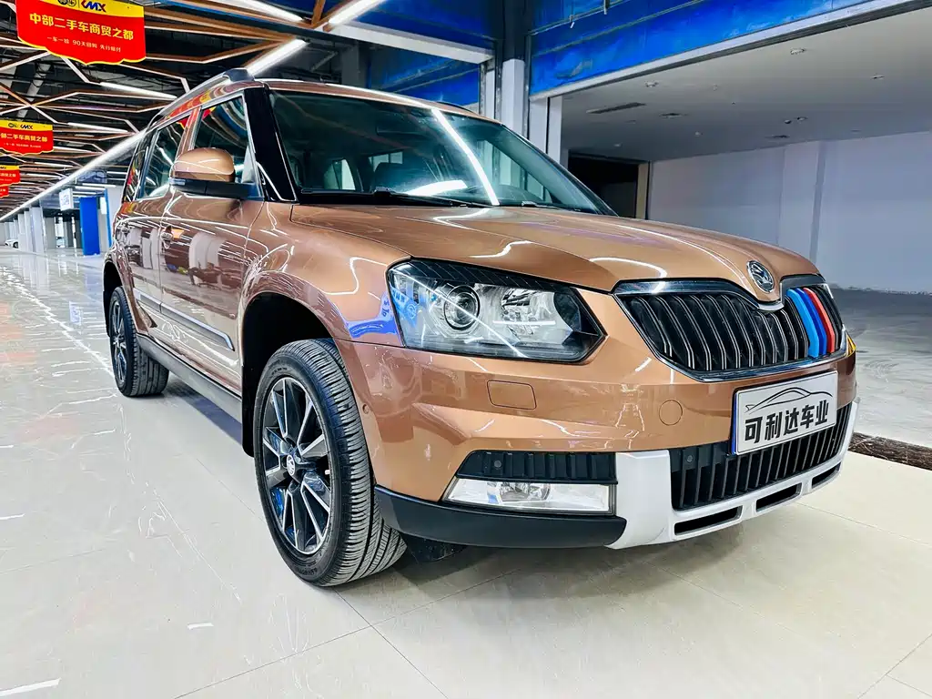 Skoda Yeti 1.8TSI DSG Wild Drive Edition, фото 4