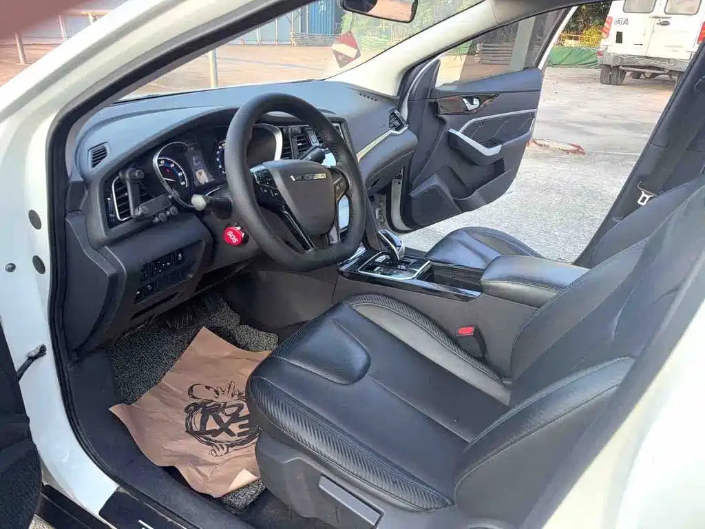 Venucia D60 EV — миниатюра 4