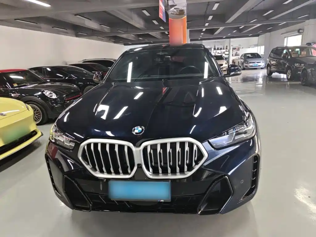 BMW X6 — миниатюра 3