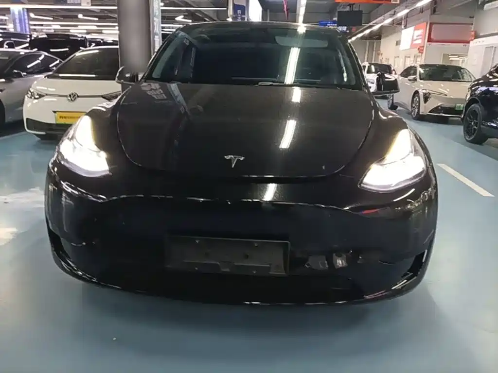 Tesla Model Y — миниатюра 3