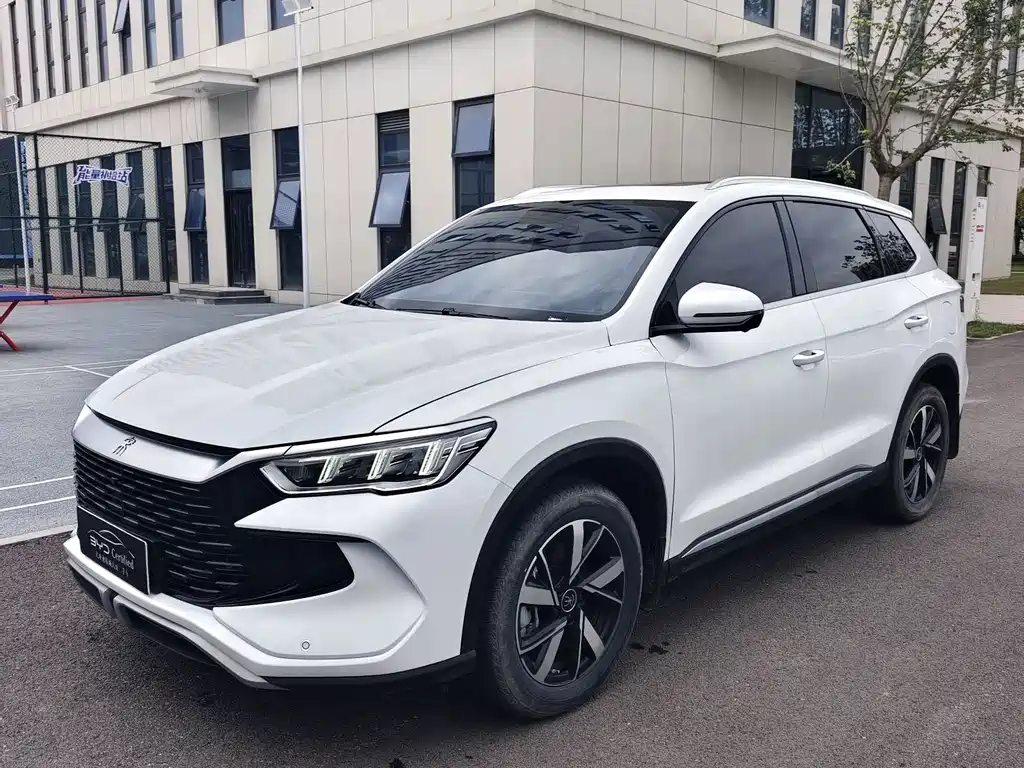 BYD Pro New Energy