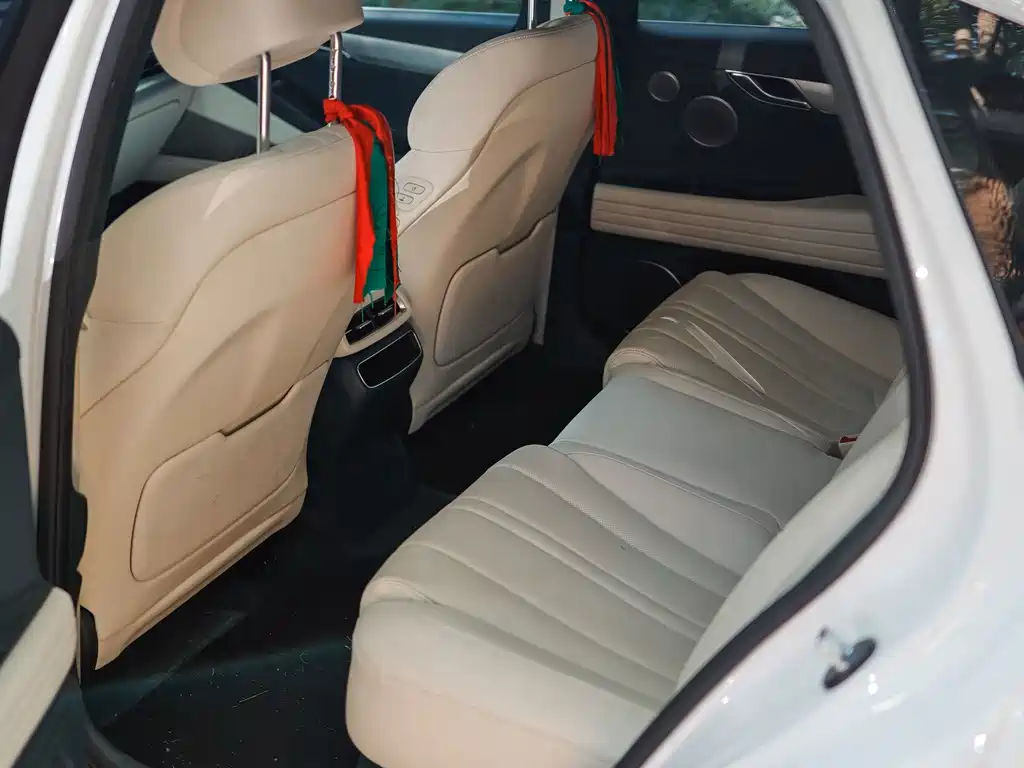 Genesis Electric G80 — миниатюра 8