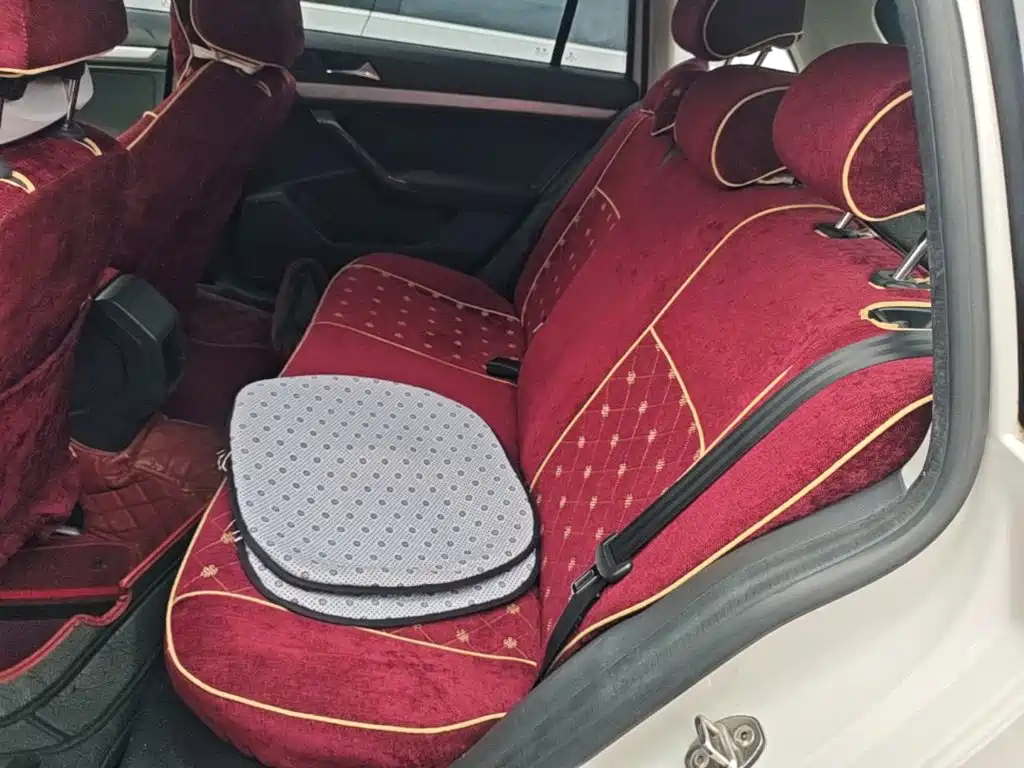 Volkswagen Gran Lavida — миниатюра 17