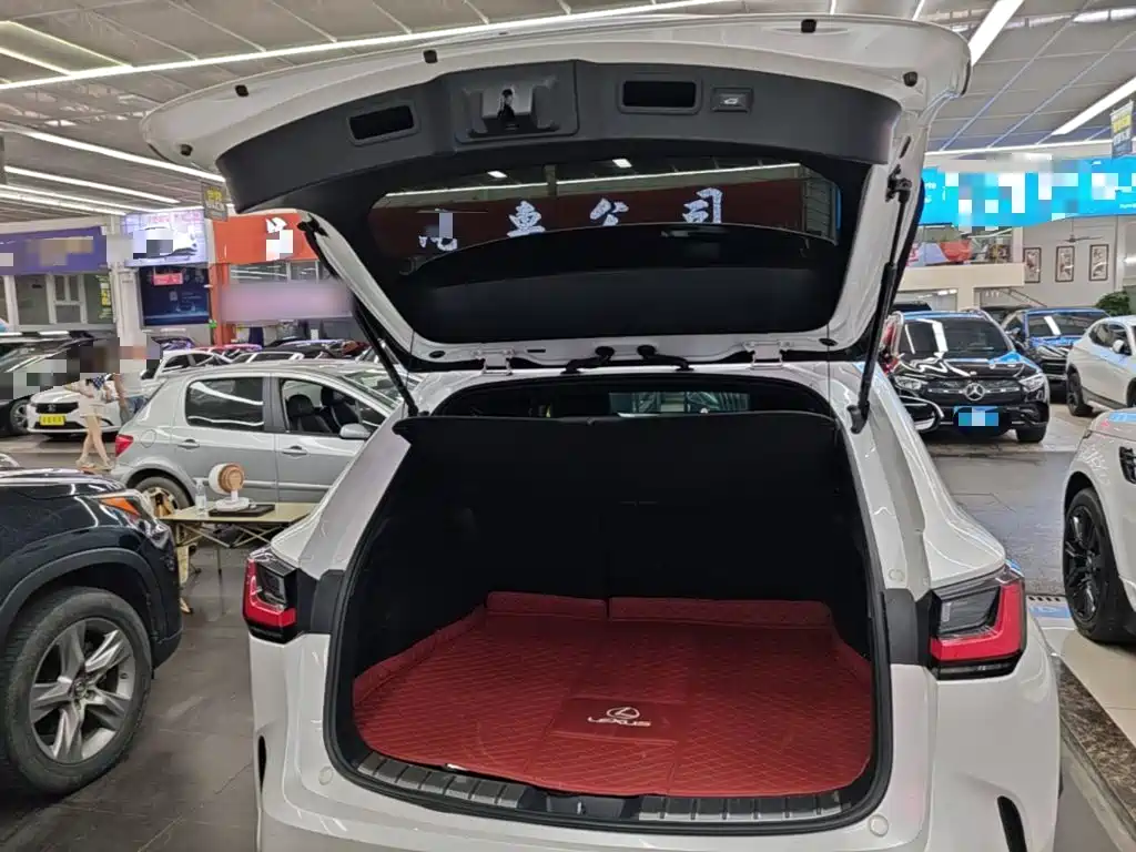 Lexus NX — миниатюра 19