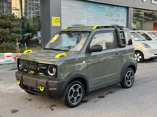 GEELY GALAXY PANDA 2025