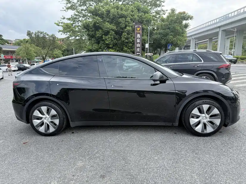 Tesla Model Y — миниатюра 4