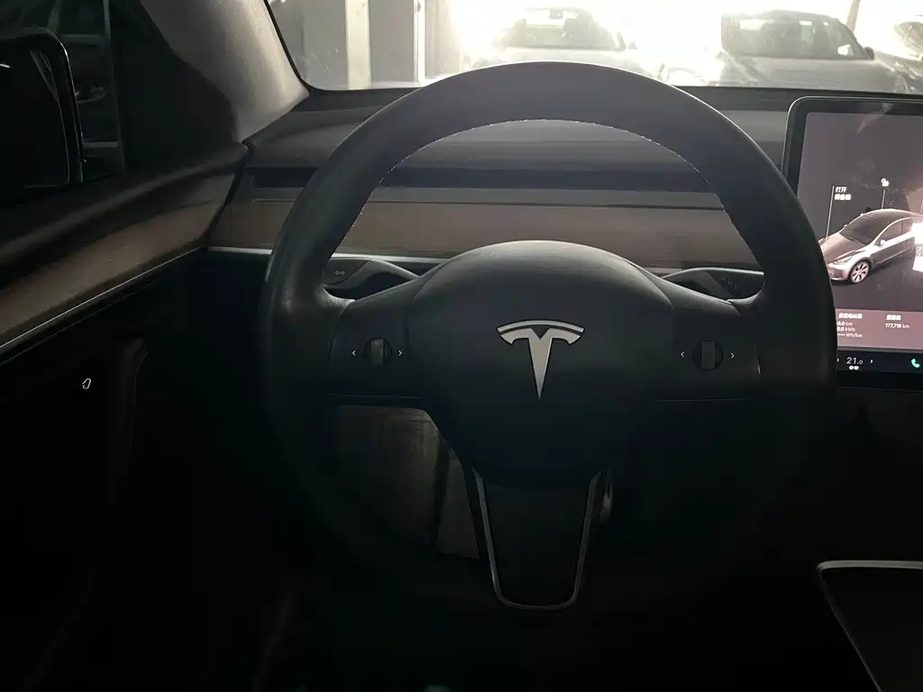 Tesla Model Y — миниатюра 7