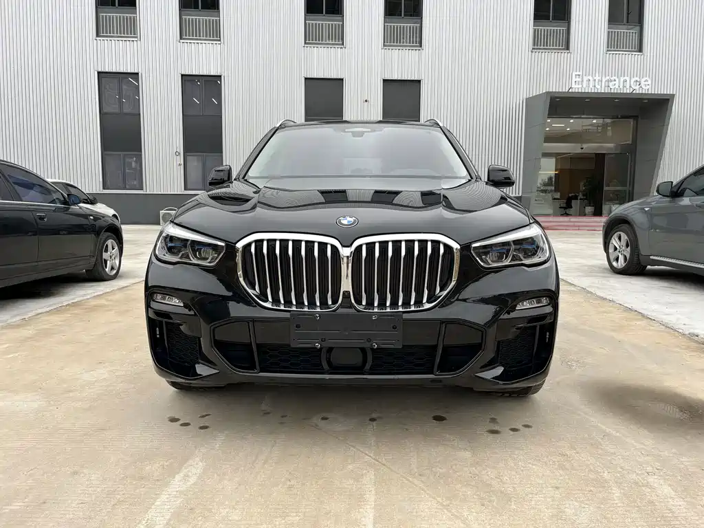 BMW X5 (Import) — миниатюра 2