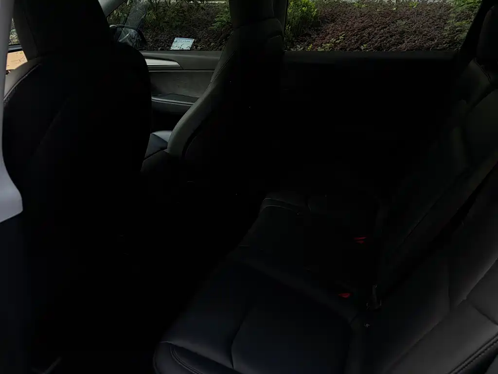 Tesla Model Y — миниатюра 11