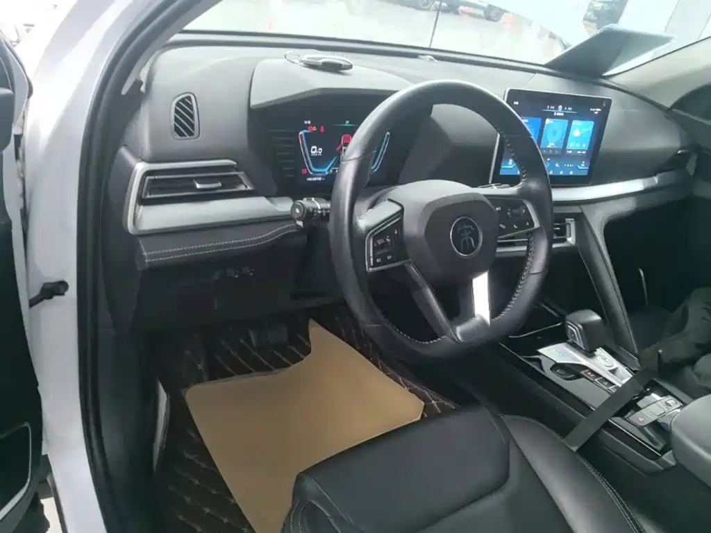 BYD Pro — миниатюра 10