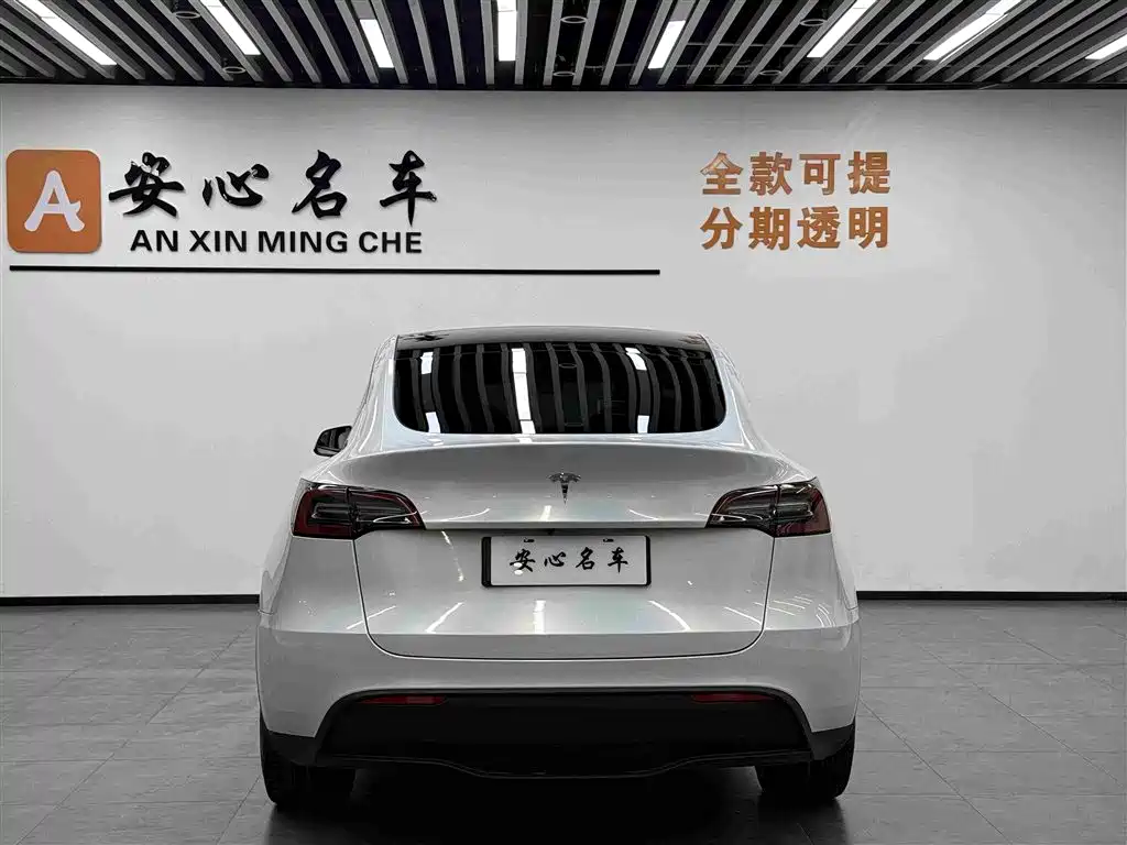 Tesla Model Y — миниатюра 4