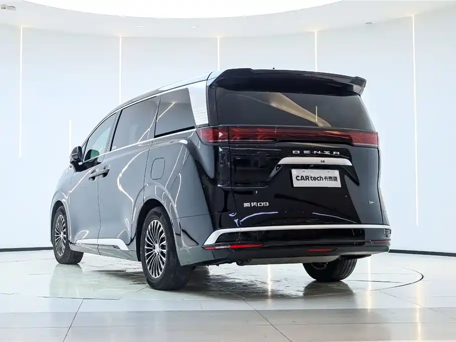 DENZA D9
