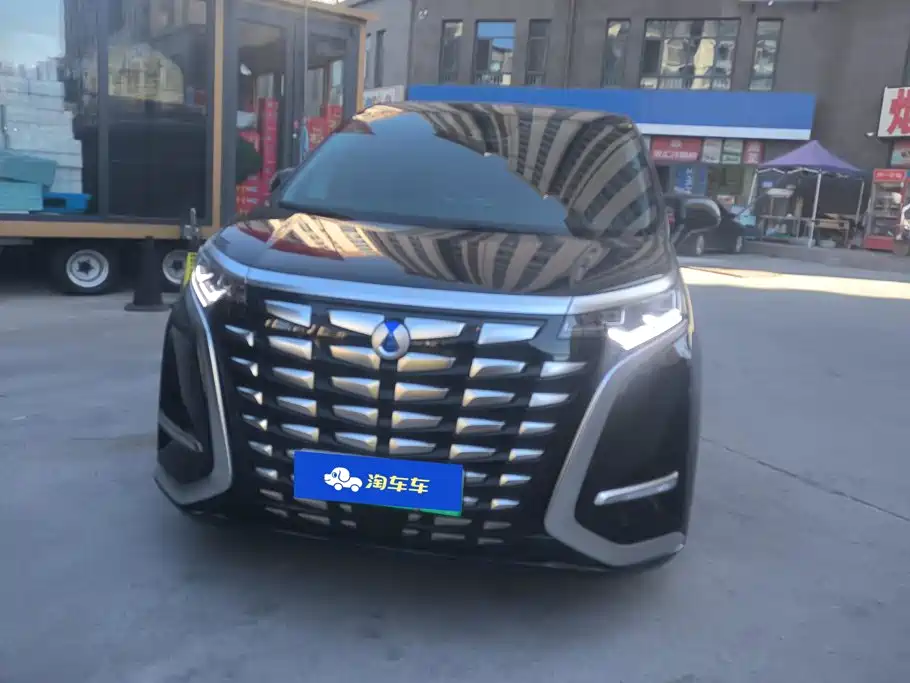 Denza Denza D9 — миниатюра 2