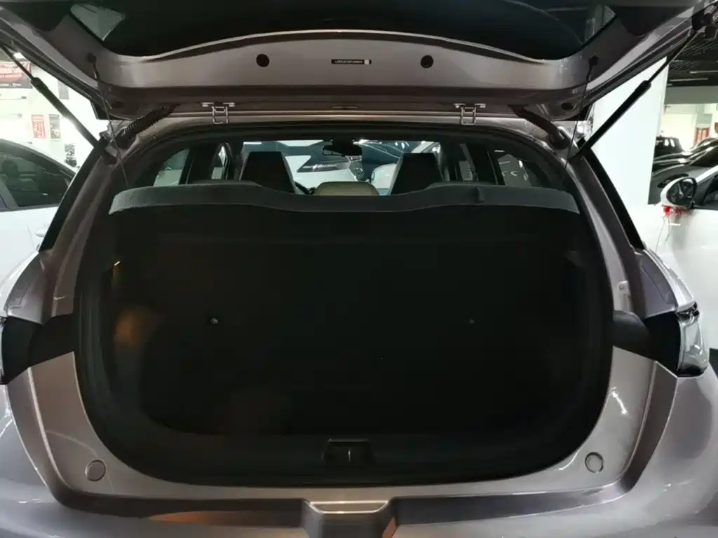 BYD Dolphin — миниатюра 19