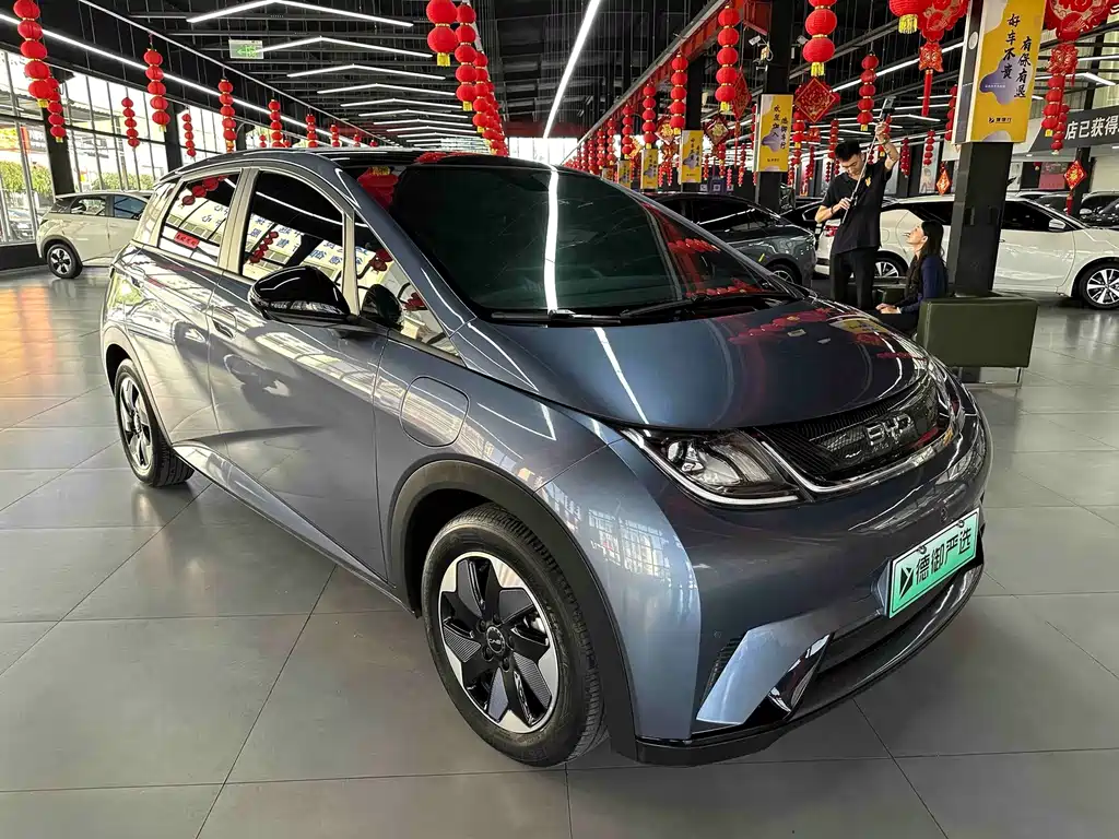 BYD Dolphin — миниатюра 3