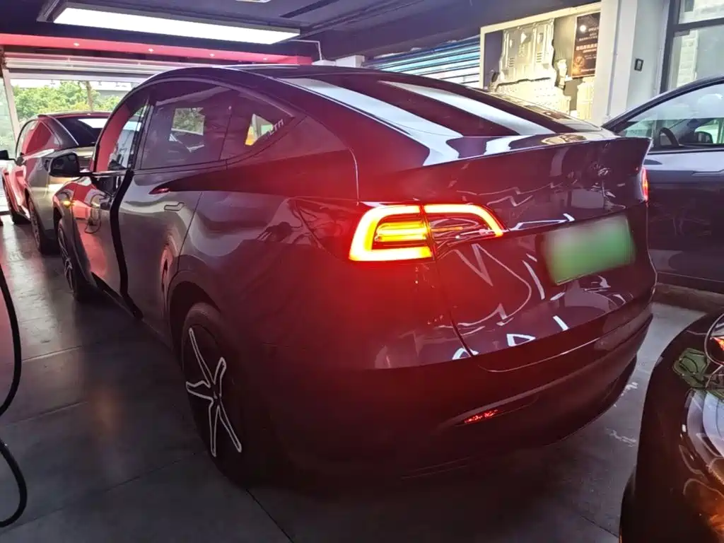 Tesla Model Y — миниатюра 5