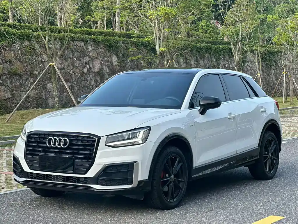 Audi Q2L 2020