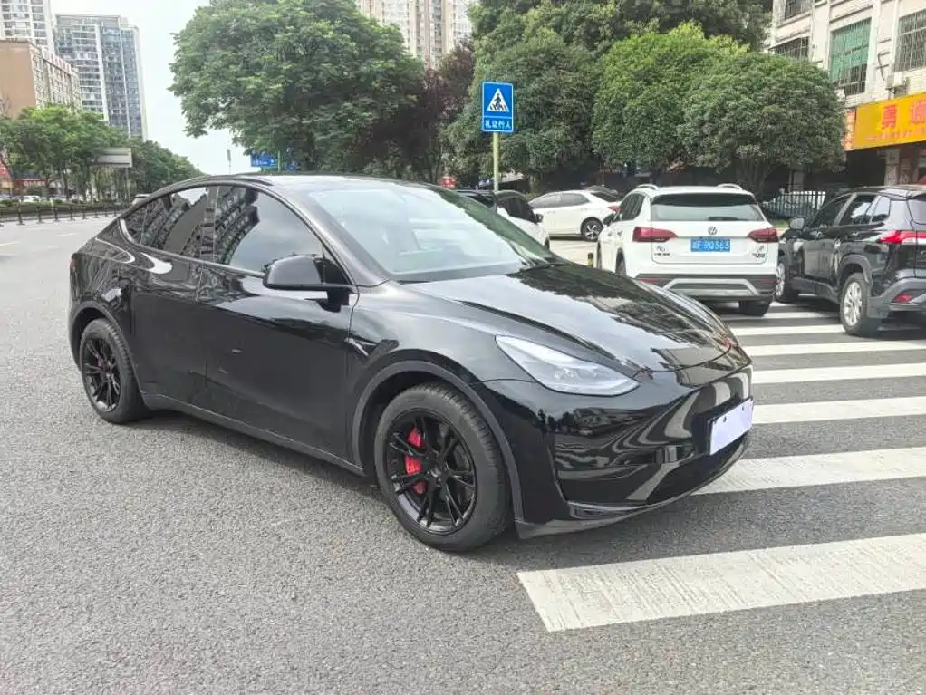 Tesla Model Y — миниатюра 3