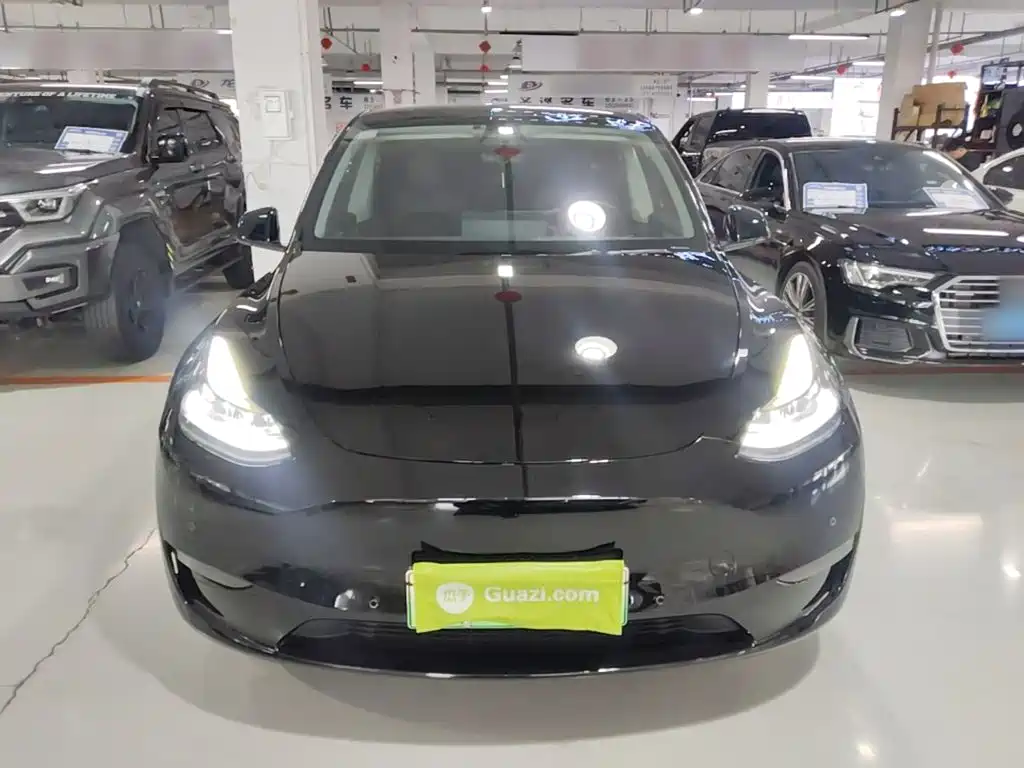 Tesla Model Y — миниатюра 3